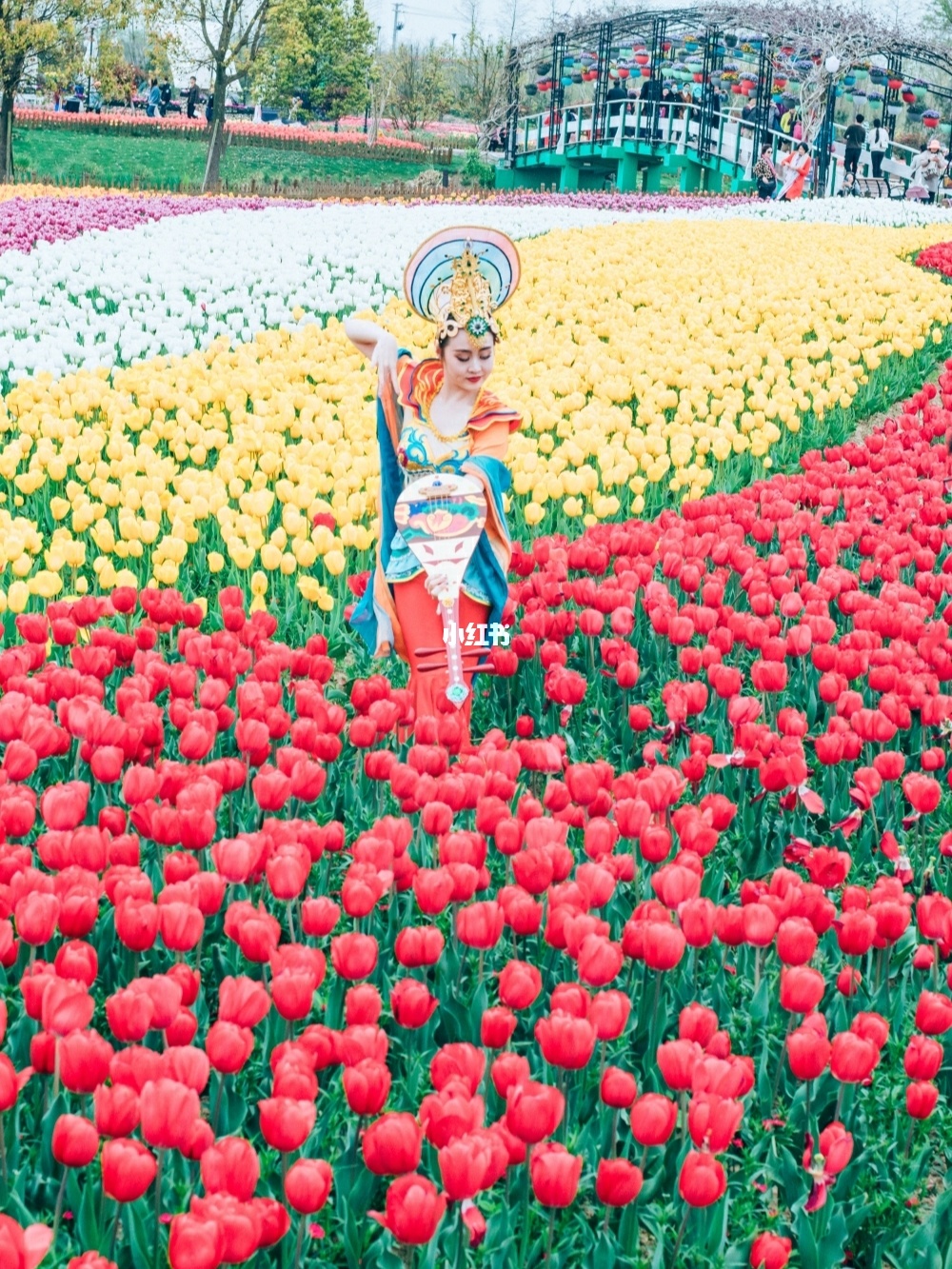盐城湿地珍禽国家级自然保护区_盐城湿地旅游_盐城沿海湿地旅游视频