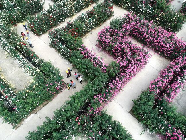盐城湿地珍禽国家级自然保护区_盐城湿地旅游_盐城沿海湿地旅游视频