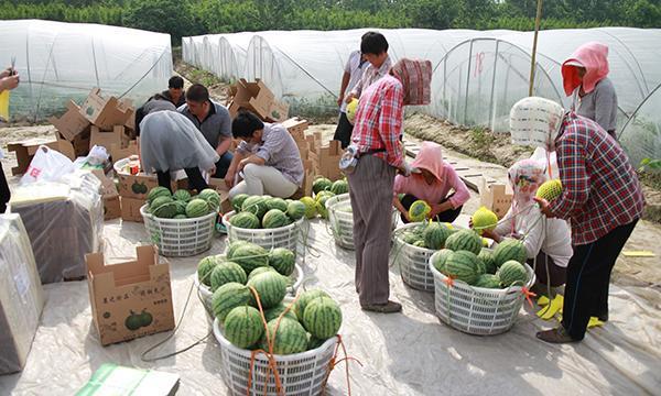 盐城美食推荐_盐城 美食_盐城水街美食