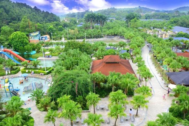 盐城市大丰全域旅游打造“花里大丰”(组图)