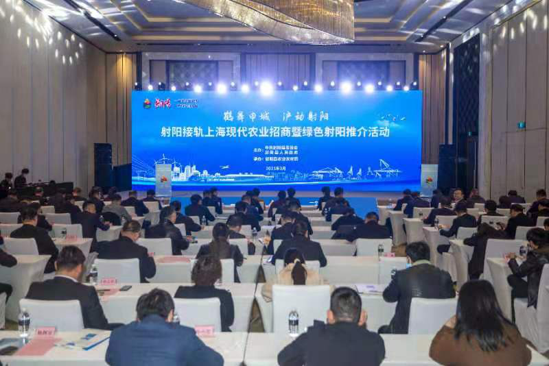 盐城“北上海”融入全球产业链融入长三角一体化(组图)