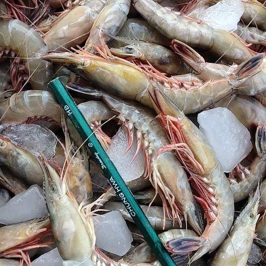 【盐城美食】几种盐城特产——舌尖上的美食