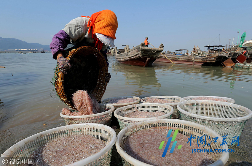 云南临沧美食介绍特色美食_盐城美食介绍_云南美食介绍特色美食