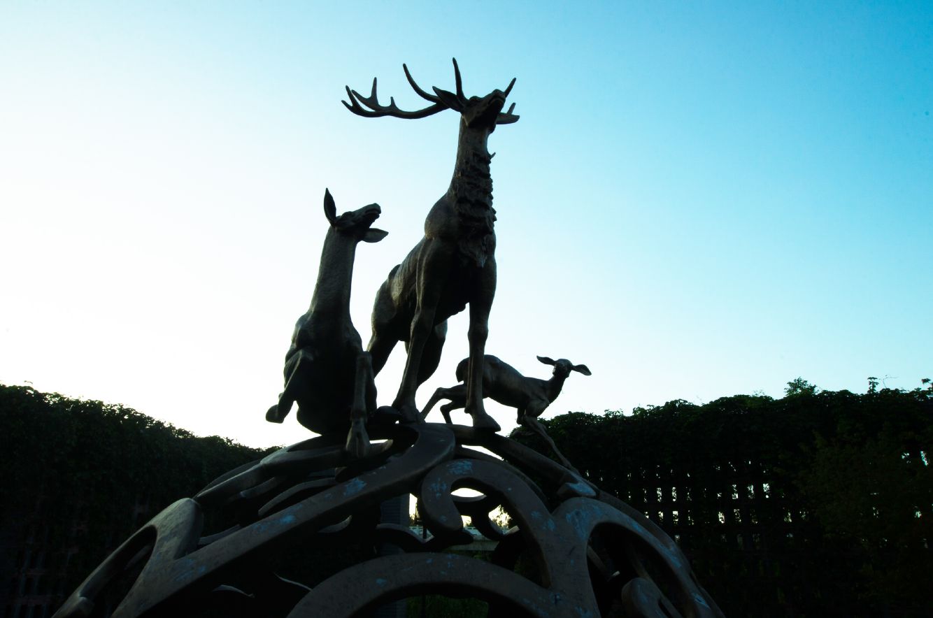 江苏艺术家创作7件作品，呼吁大家珍爱湿地