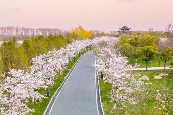盐城旅游_盐城旅游团购网_盐城旅游总体规划