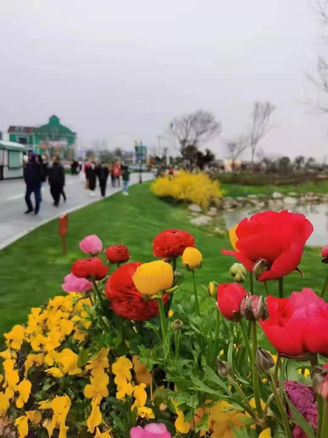 盐城旅游logo_盐城旅游软件_盐城旅游