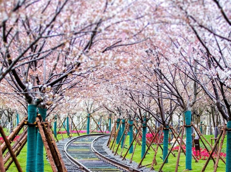 盐城旅游logo_盐城旅游软件_盐城旅游