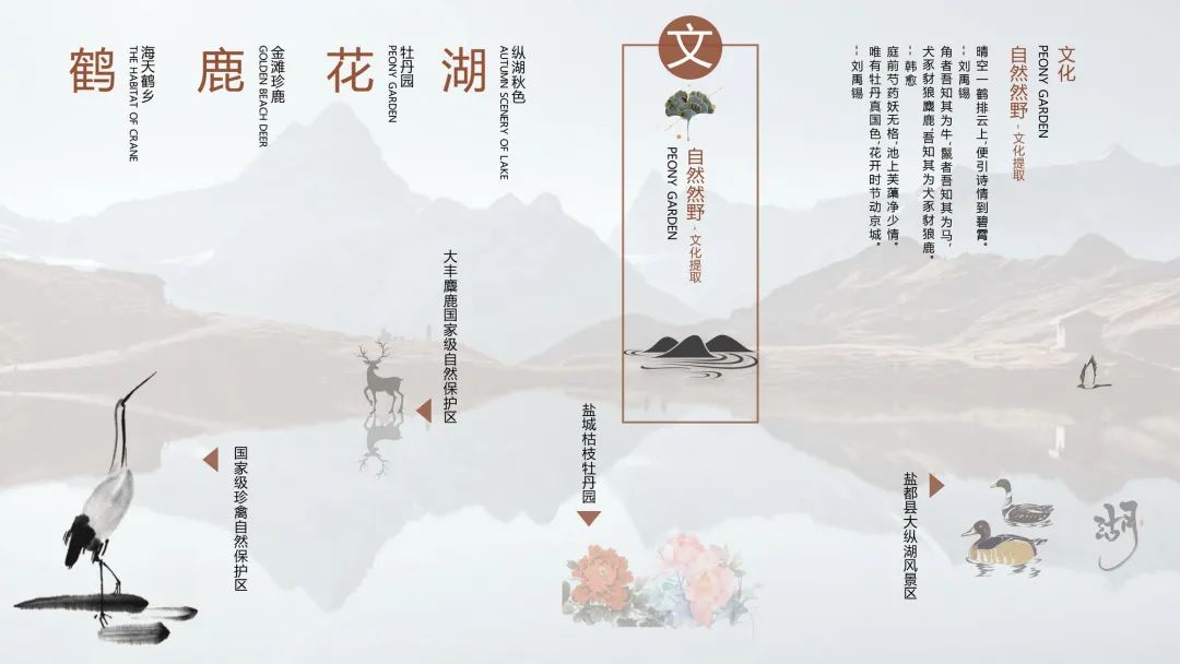 主题元素|CONCEPTELEMENT，如何将大丰专属的地域文化与项目