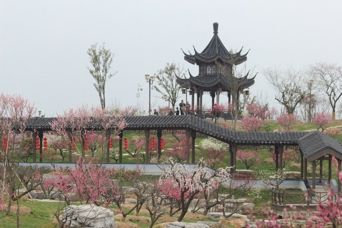 盐城大丰海贼王主题乐园_盐城大丰发展旅游_盐城大丰市旅游发展