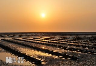 生态观光园：恒北早白驹三腊菜早酥梨(组图)