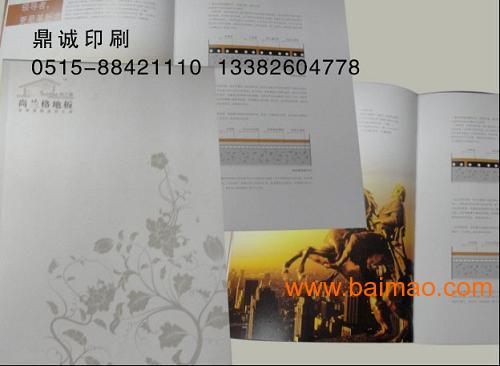 盐城样本画册设计**平面设计企业画册设计鼎诚印刷13382604778画册-