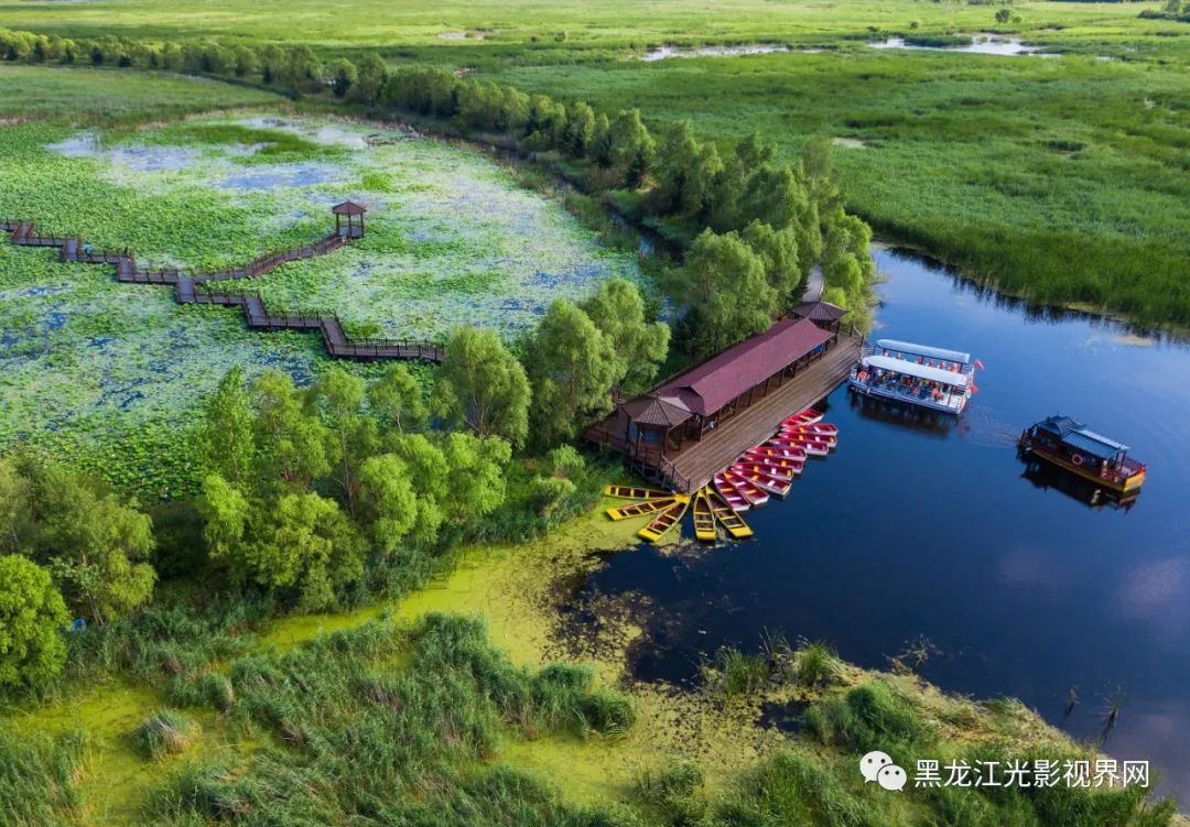 盐城湿地珍禽国家级自然保护区_盐城湿地旅游_盐城湿地生态园在那里