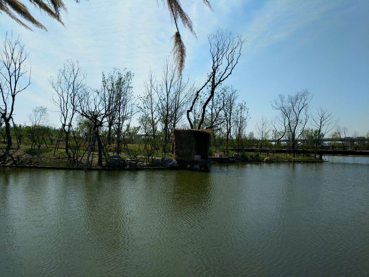 盐城湿地生态园在那里_盐城湿地珍禽国家级自然保护区_盐城湿地旅游