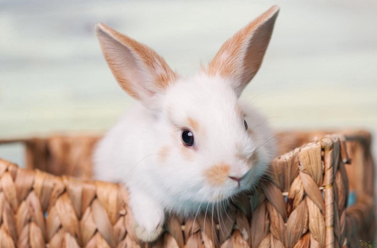 盐城旅游学校2022年招生简章