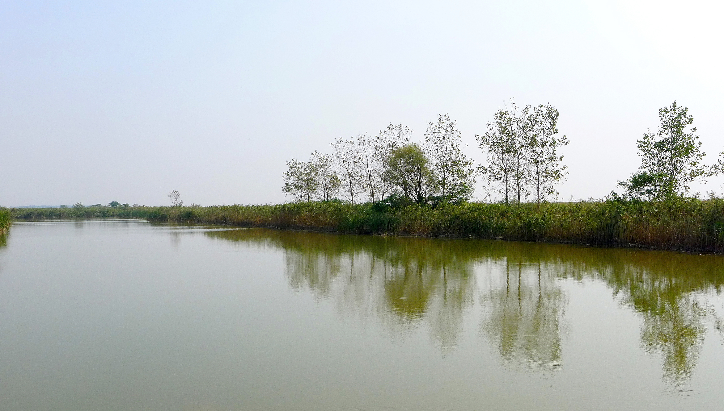 盐城旅游信息网_盐城旅游_盐城旅游