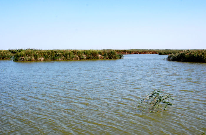 盐城旅游_盐城旅游_盐城旅游信息网