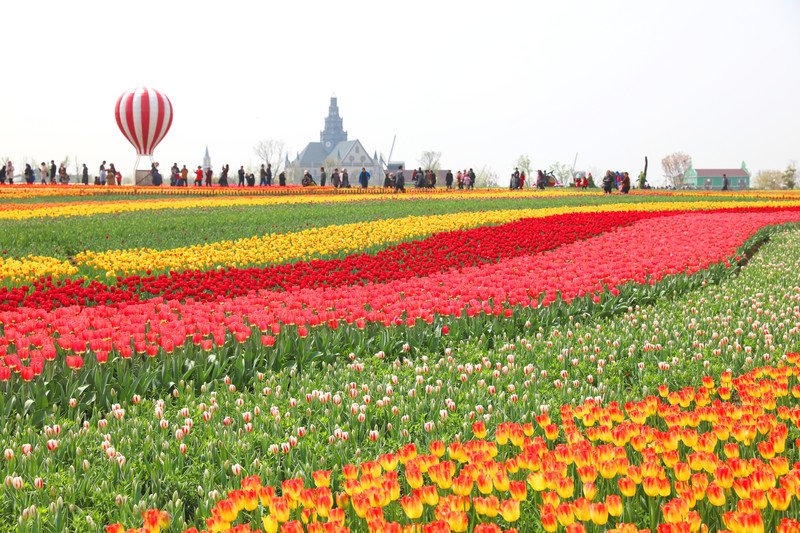 盐城大丰监狱地址_盐城大丰旅游_盐城大丰天气预报15天
