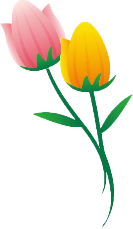 周末不知道去哪儿玩？盐城大丰旅游胜地，你去了吗？