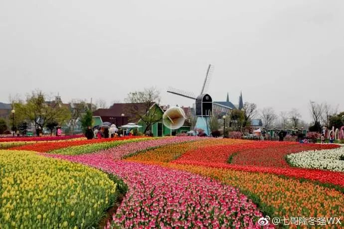 周末不知道去哪儿玩？盐城大丰旅游胜地，你去了吗？