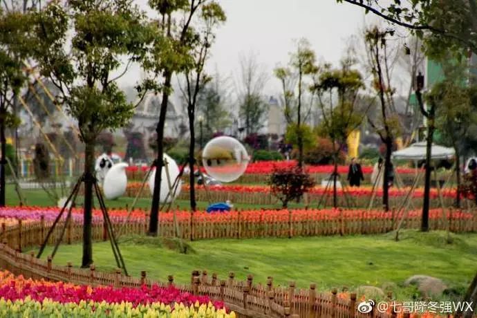 周末不知道去哪儿玩？盐城大丰旅游胜地，你去了吗？