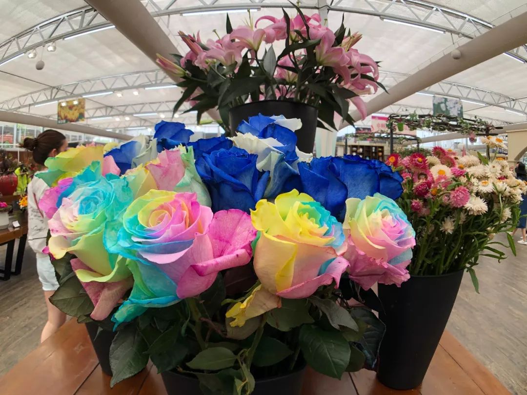 周末不知道去哪儿玩？盐城大丰旅游胜地，你去了吗？