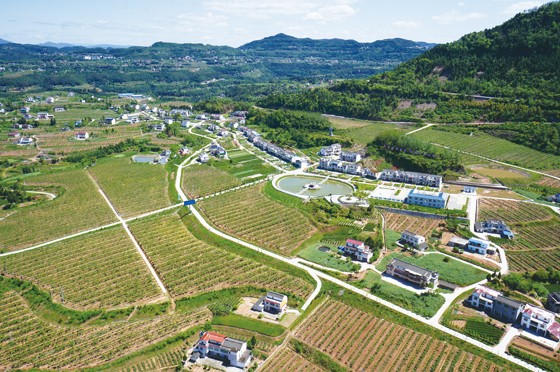 盐城中南世纪城景城二期二手房_盐城环保科技城企业_盐城中南世纪城御城2期