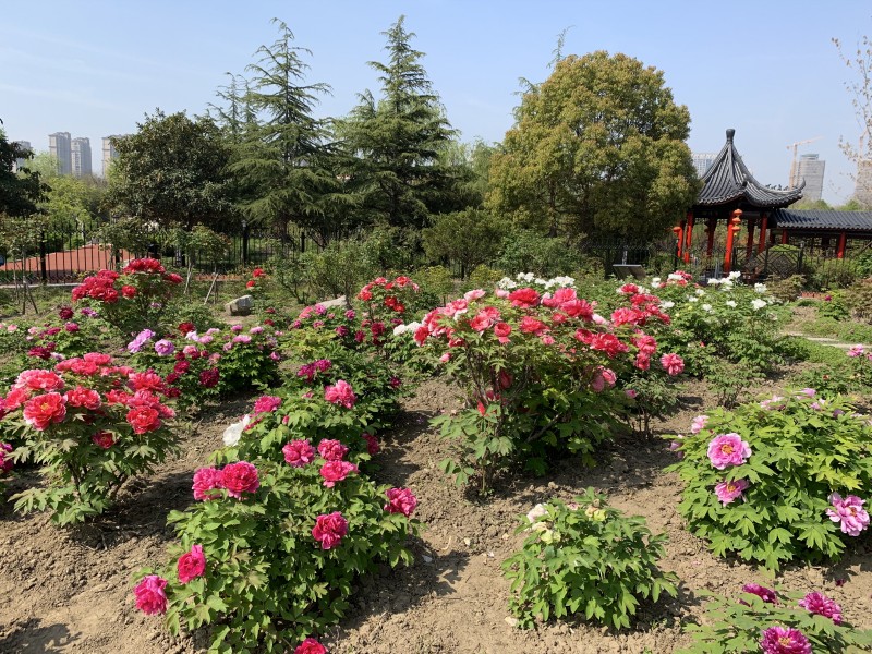 盐城大丰美食_盐城 的美食_盐城美食推荐