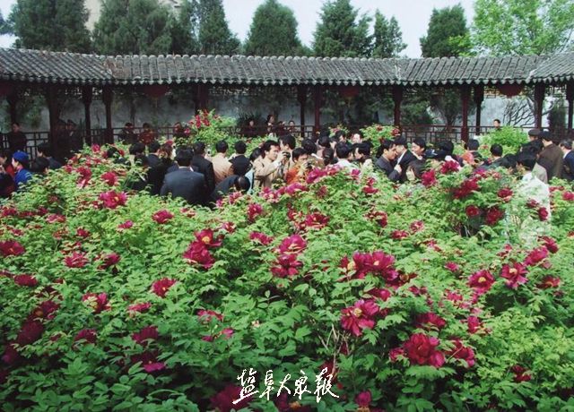 盐城大丰美食_盐城 的美食_盐城美食推荐