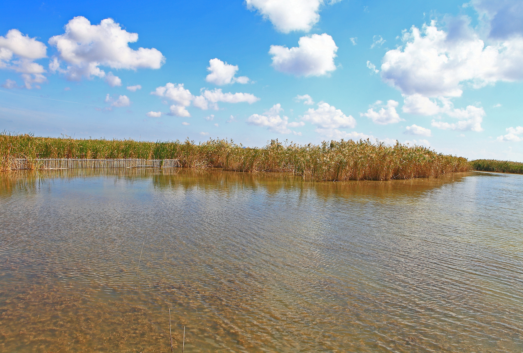 “水韵江苏相约香港”江苏文化嘉年华4月20日至22日举行