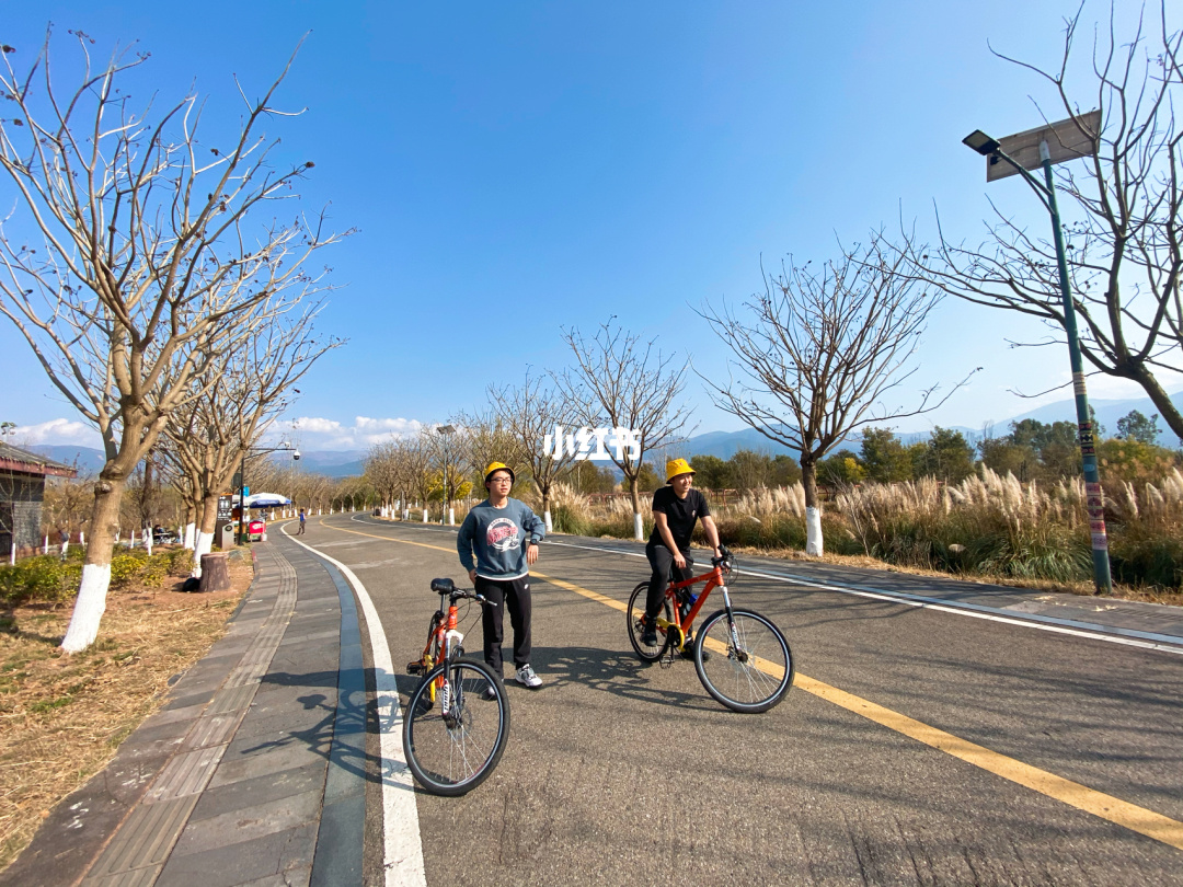 盐城湿地旅游_盐城丹顶鹤湿地生态公园_盐城湿地门票