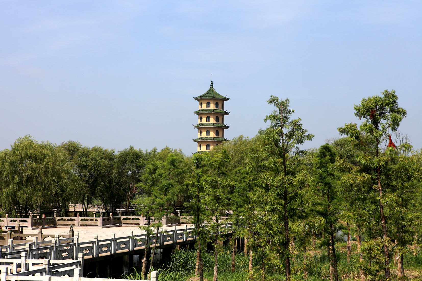 山东潍坊滨海美景_盐城滨海酒驾闹事_盐城滨海有什么美景、美食