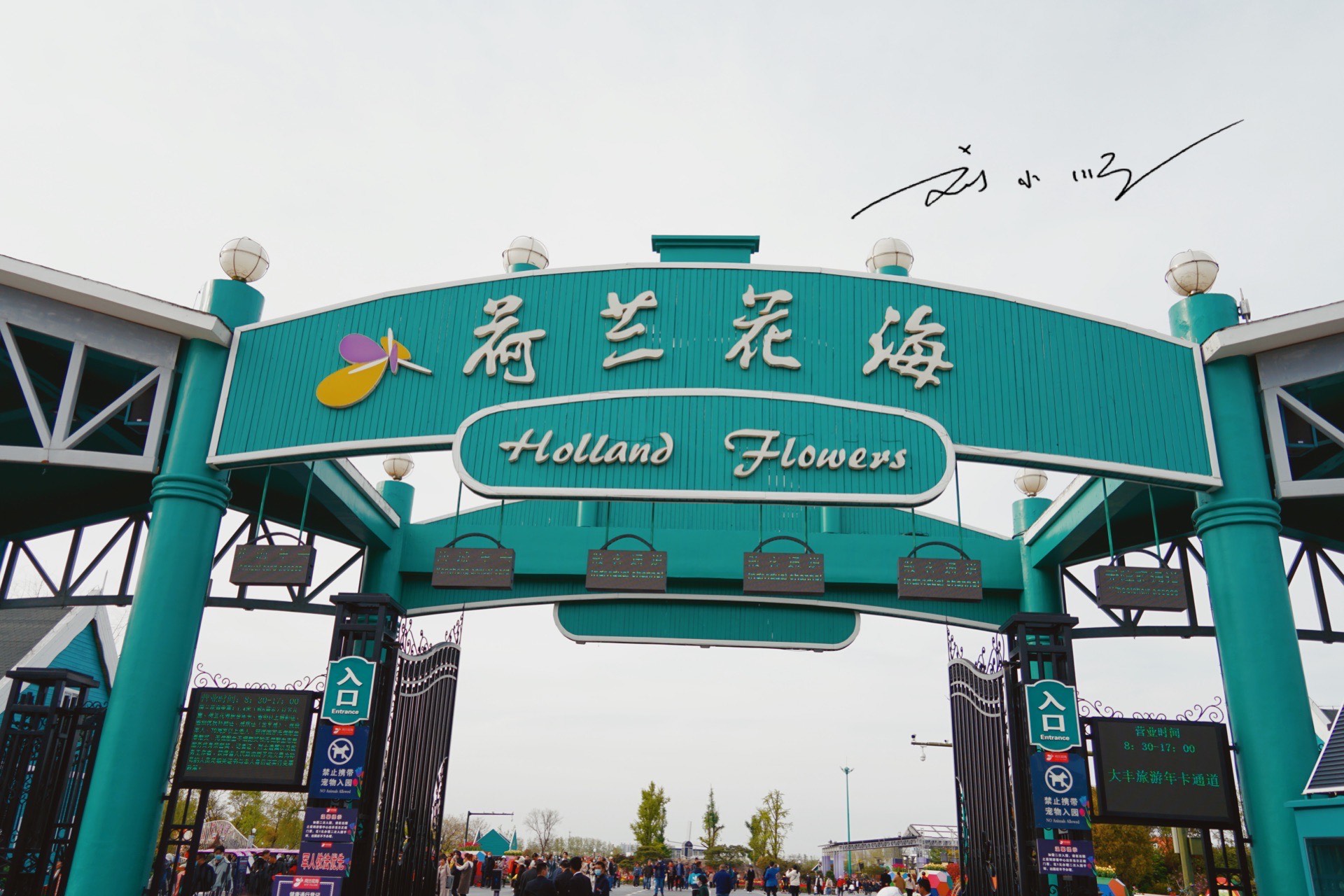 杨超越“代言”家乡4A级景区，好看又好玩，宛如江苏版迪士尼乐园