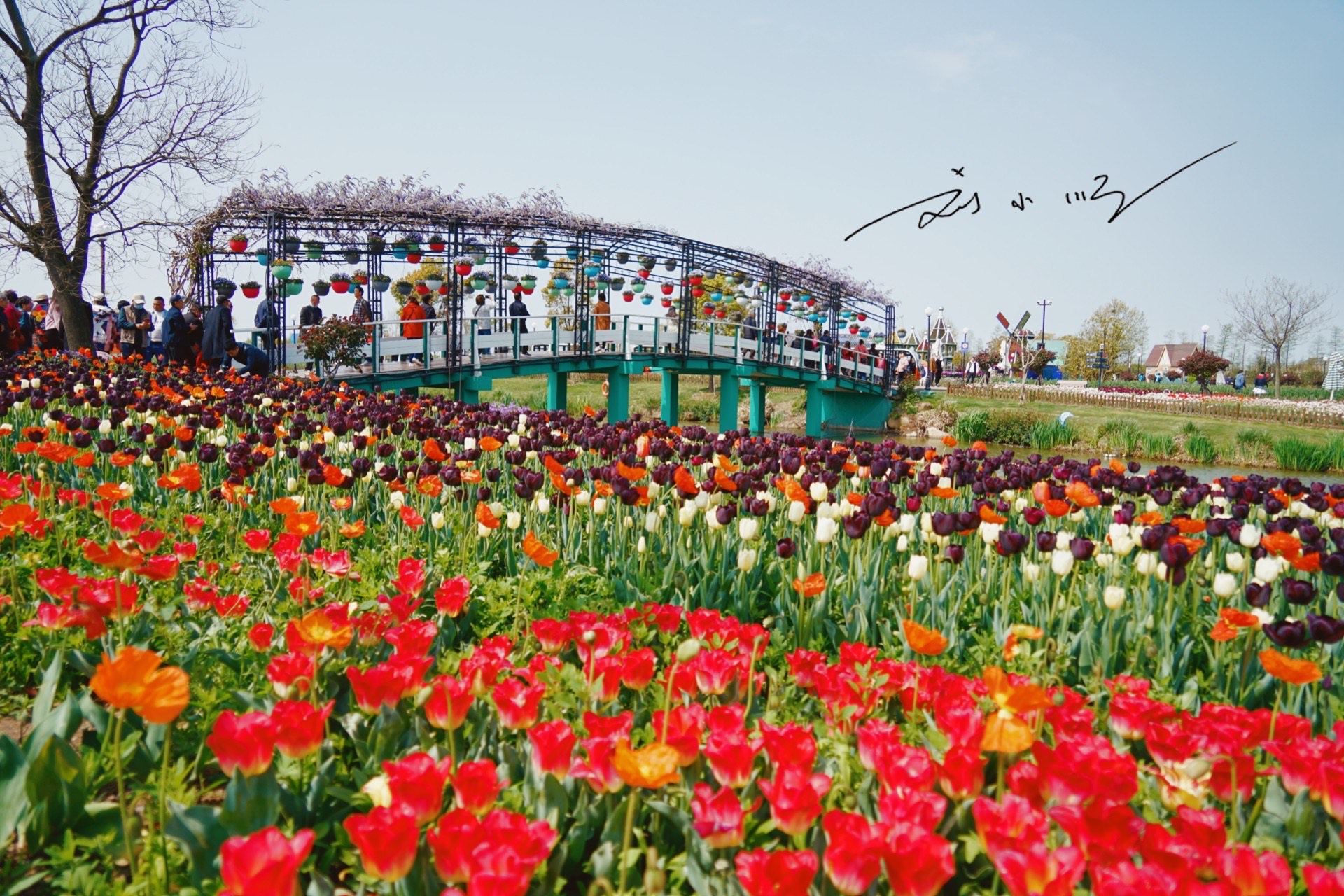 杨超越“代言”家乡4A级景区，好看又好玩，宛如江苏版迪士尼乐园