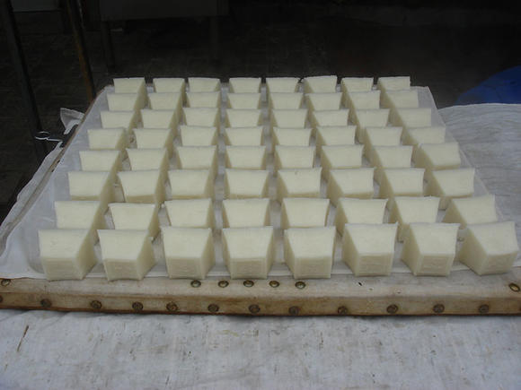 到上海必吃美食攻略_长沙吃水鱼最佳推荐——童仔美食,让你补到流鼻血_到盐城必吃的美食