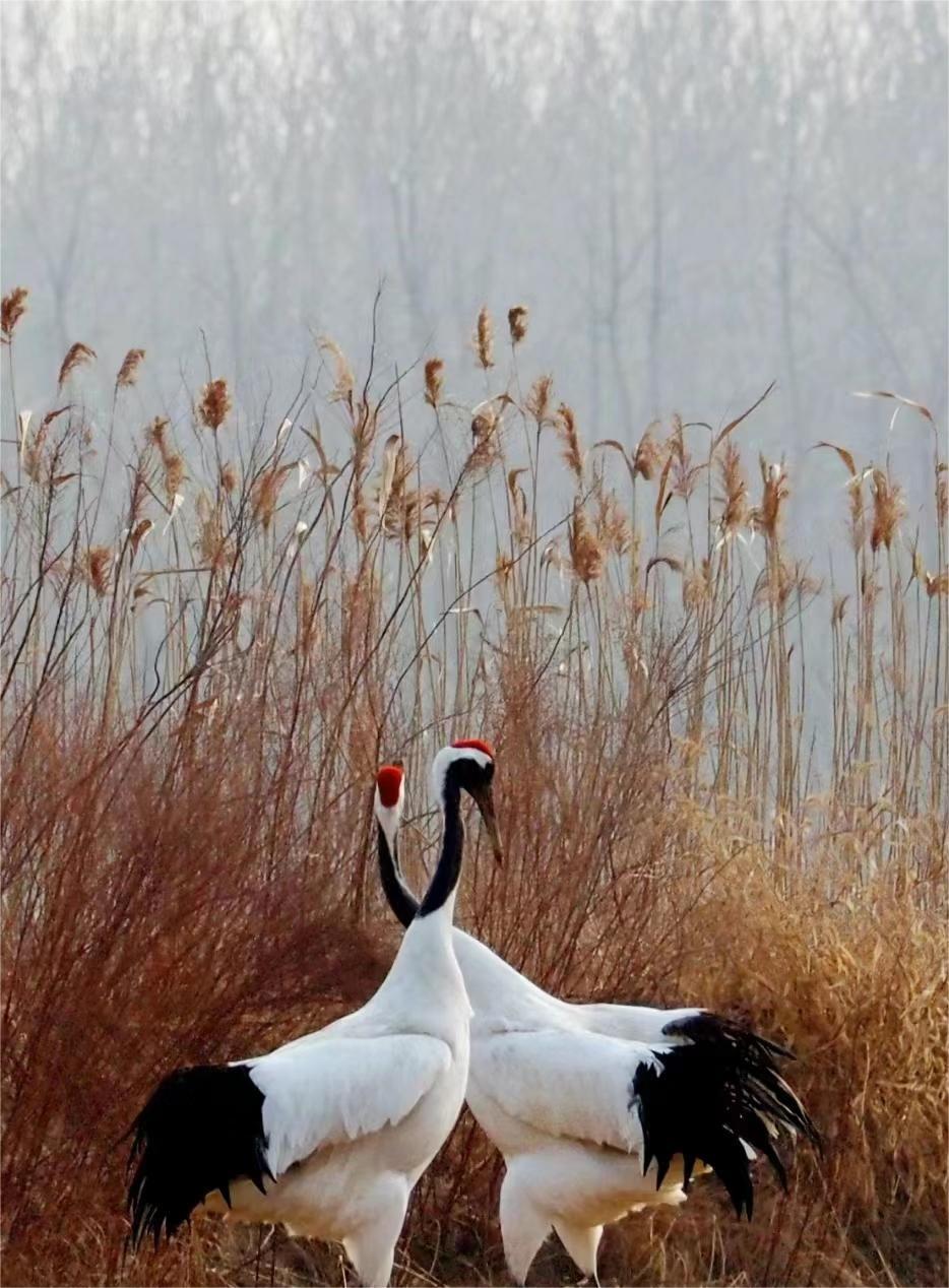 盐城滨海美食街在哪里_盐城滨海有什么美景、美食_盐城滨海吃喝玩乐