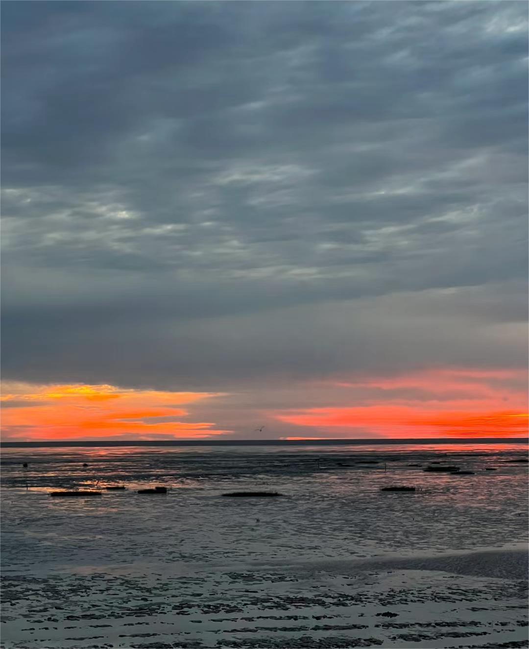 盐城滨海吃喝玩乐_盐城滨海美食街在哪里_盐城滨海有什么美景、美食