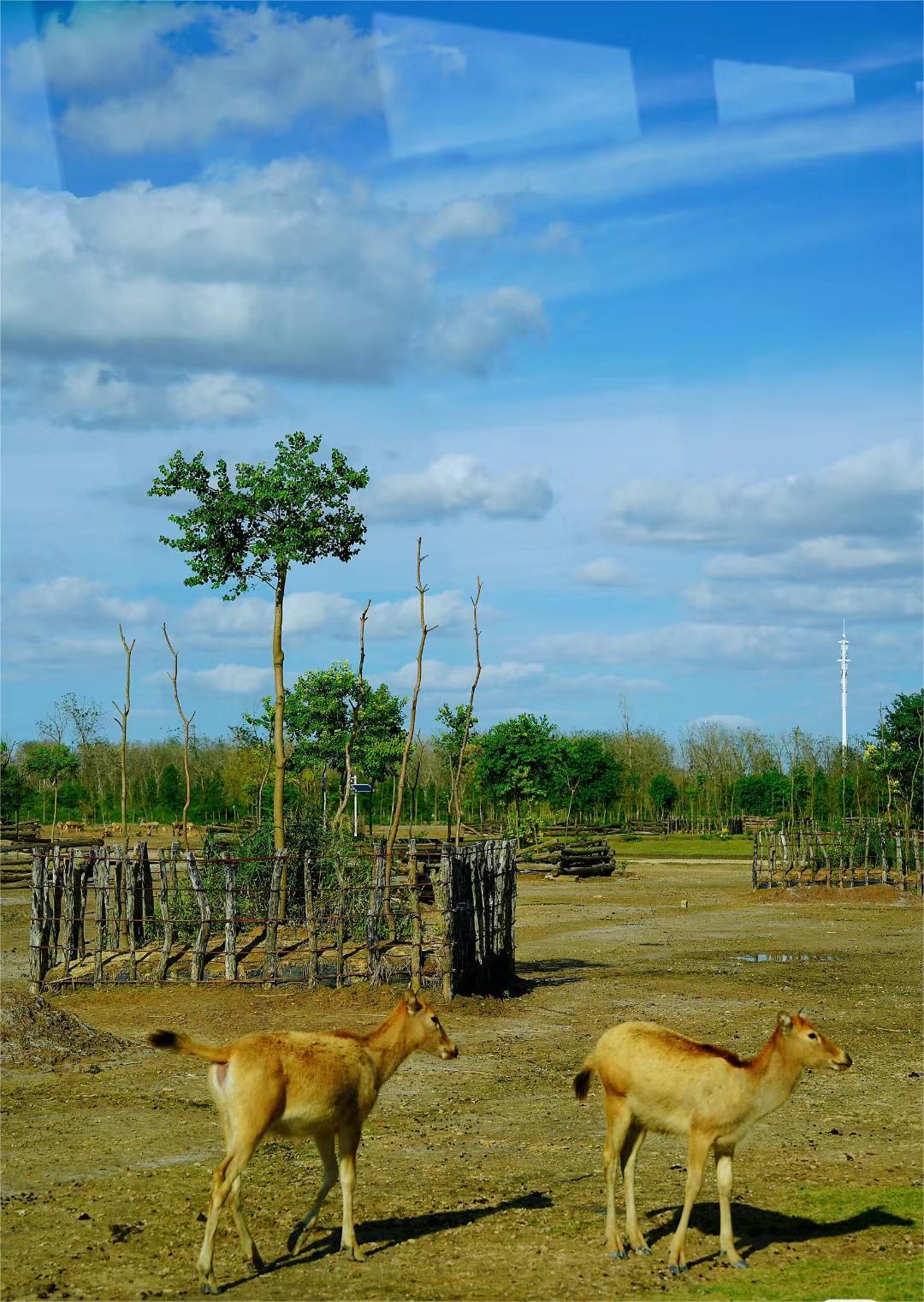 盐城滨海有什么美景、美食_盐城滨海吃喝玩乐_盐城滨海美食街在哪里