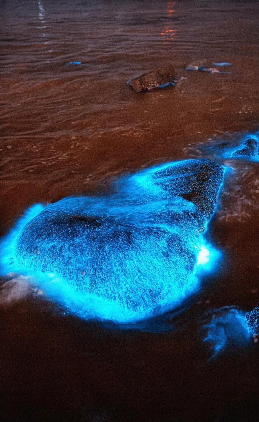 盐城滨海有什么美景、美食_盐城滨海吃喝玩乐_盐城滨海美食街在哪里