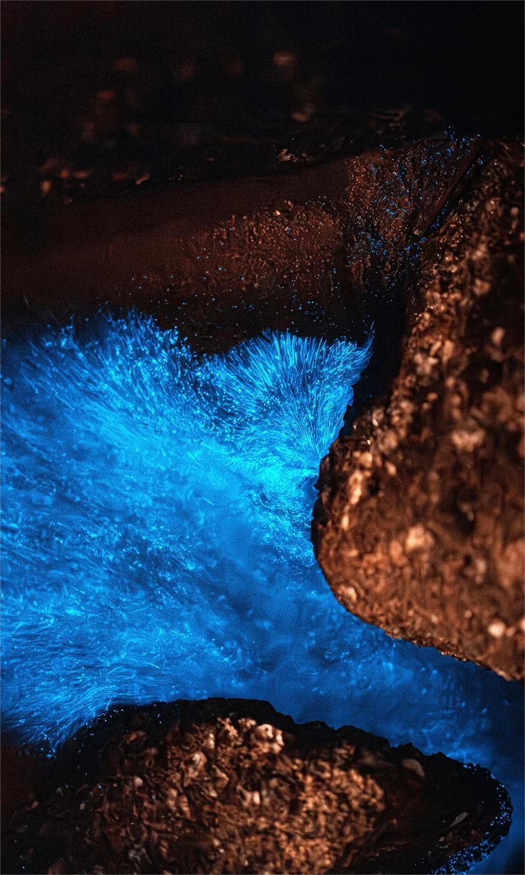 盐城滨海美食街在哪里_盐城滨海吃喝玩乐_盐城滨海有什么美景、美食