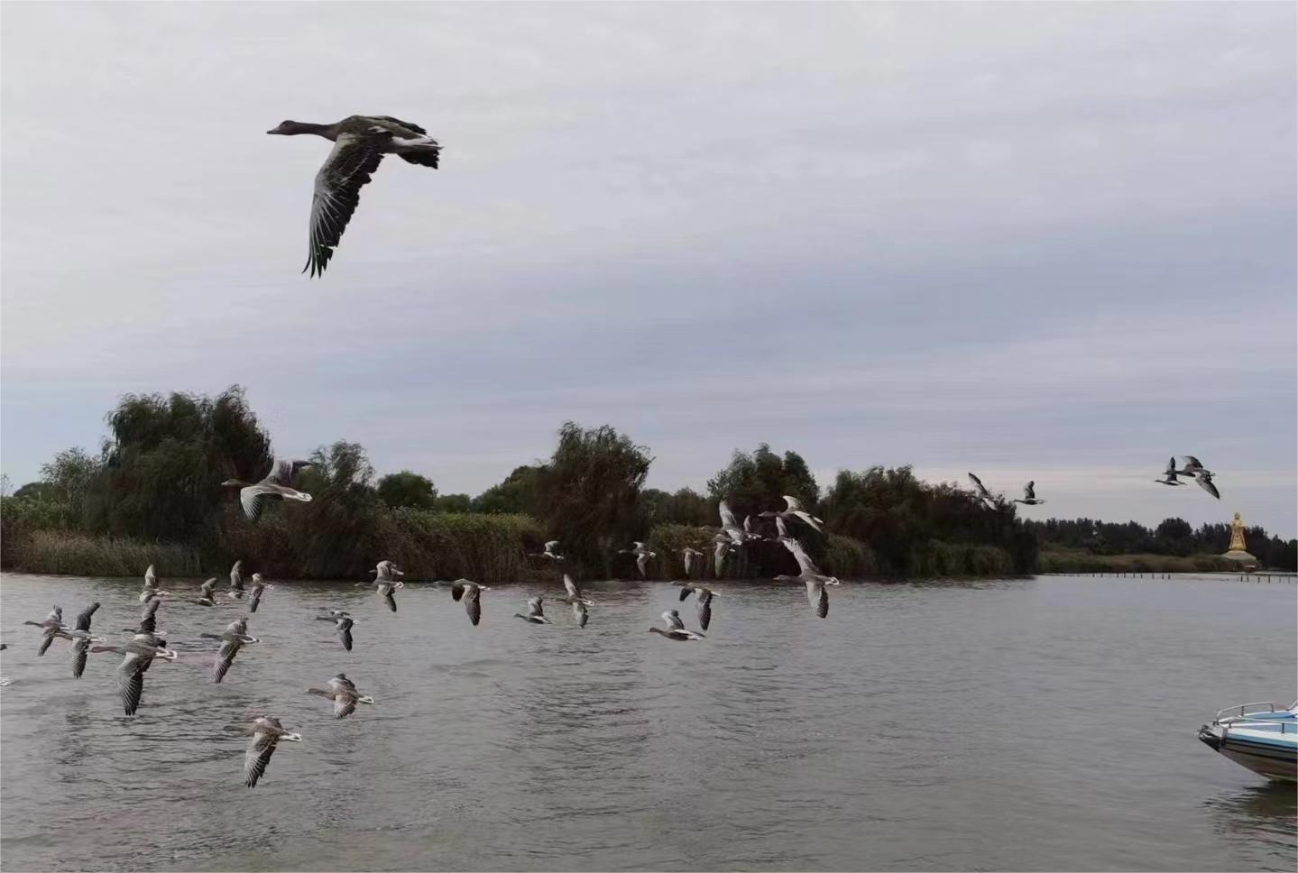 盐城滨海美食街在哪里_盐城滨海有什么美景、美食_盐城滨海吃喝玩乐