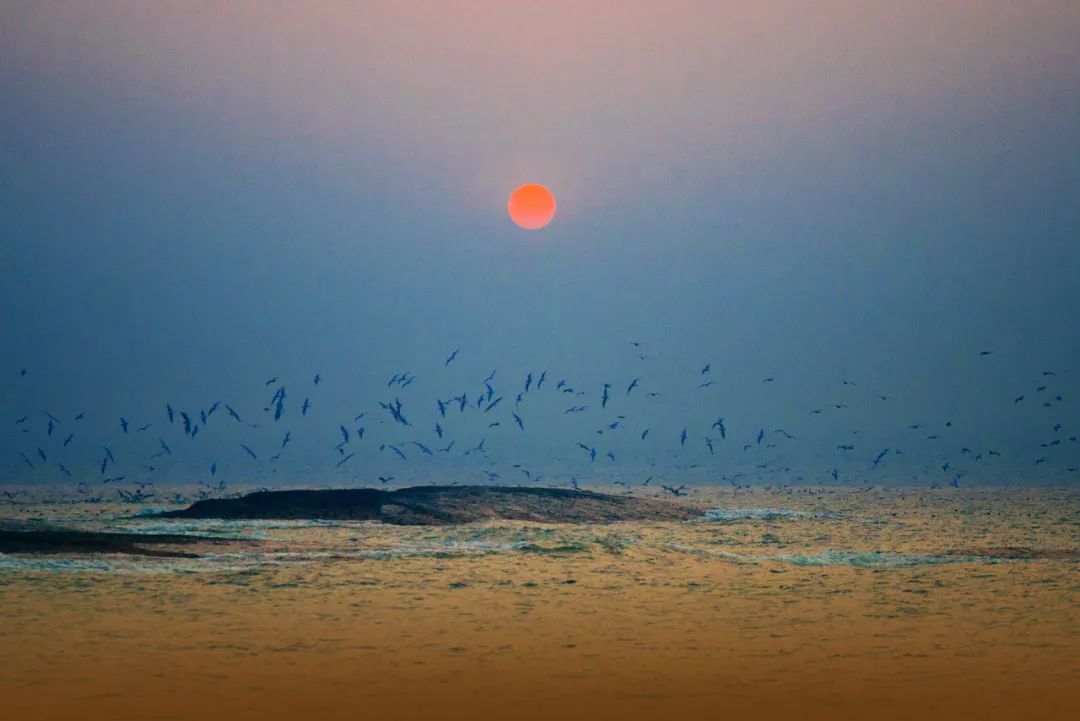 盐城美食推荐_盐城美食推荐排名_盐城美食推荐方案