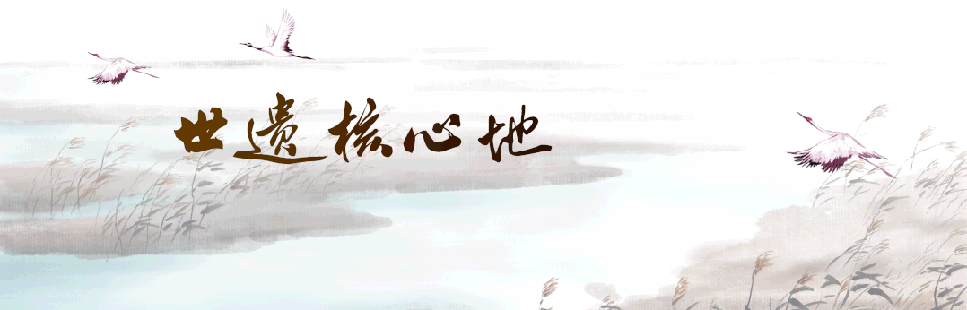 江苏盐城国家级珍禽自然保护区迎来成群候鸟越冬候鸟