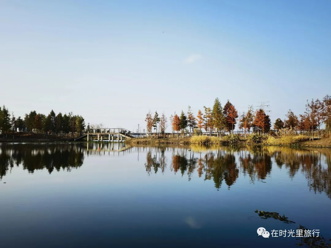 周末的下午，出去走走。还是最美大道吧，有流水，有树有花草