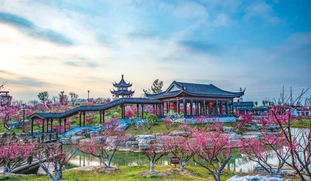 盐城大丰旅游攻略_盐城大丰游玩攻略_盐城大丰一日游