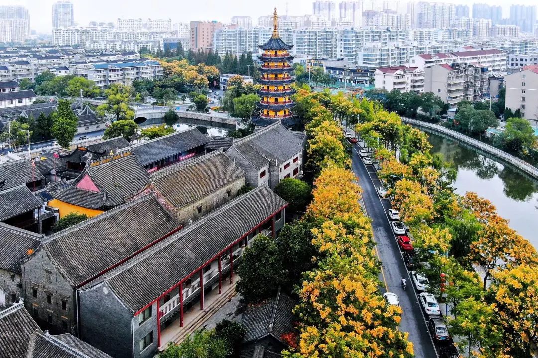 盐城去普陀山_盐城普陀山旅游_盐城普陀山路