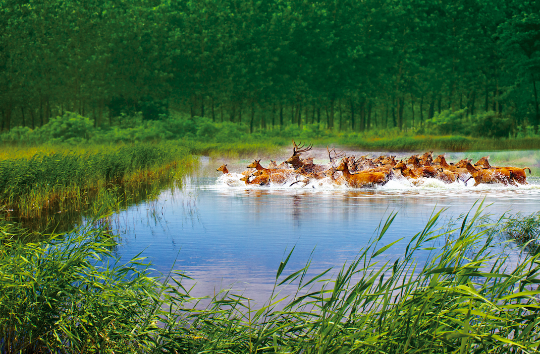 盐城普陀山路_盐城去普陀山_盐城普陀山旅游