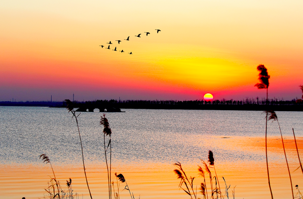 盐城普陀山路_盐城去普陀山_盐城普陀山旅游