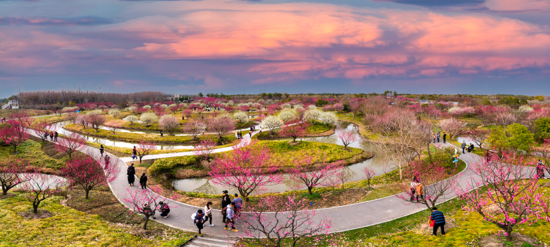 盐城普陀山旅游_盐城去普陀山_盐城普陀山路