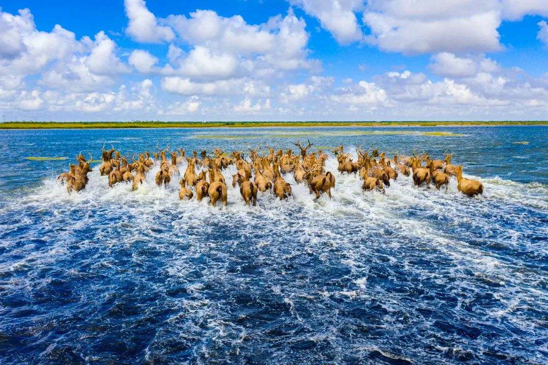 盐城旅游总体规划_盐城全域旅游_盐城旅游业发展