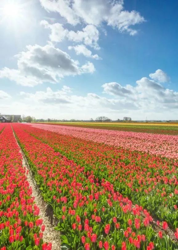 盐城旅游酒店预定_预定盐城酒店旅游多少钱_盐城酒店推荐